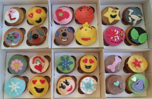 6 doosjes cupcakes met fondant toppers gemaakt door kinderen tijdens het workshop kinderfeestje in Kampen